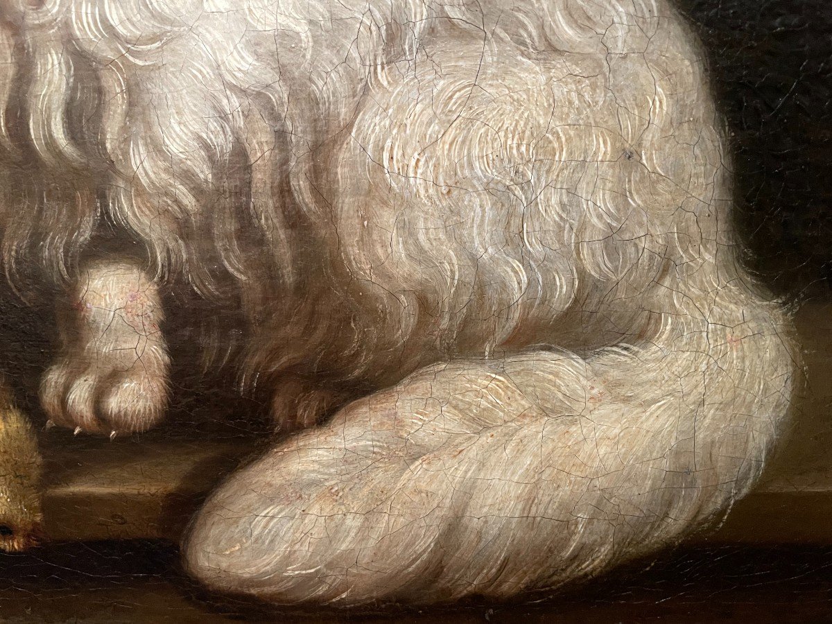 Tableau Le Chat Angora Et Le Serin Par Jacques Barthélémy Delamarre XVIIIème-photo-6