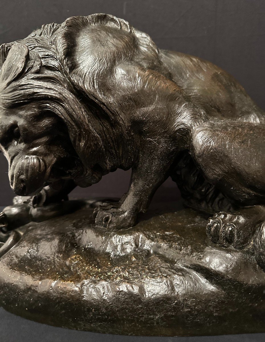 Important Bronze Lion Au Serpent Ou Lion Des Tuileries Par Antoine Louis Barye Fin XIXème-photo-3