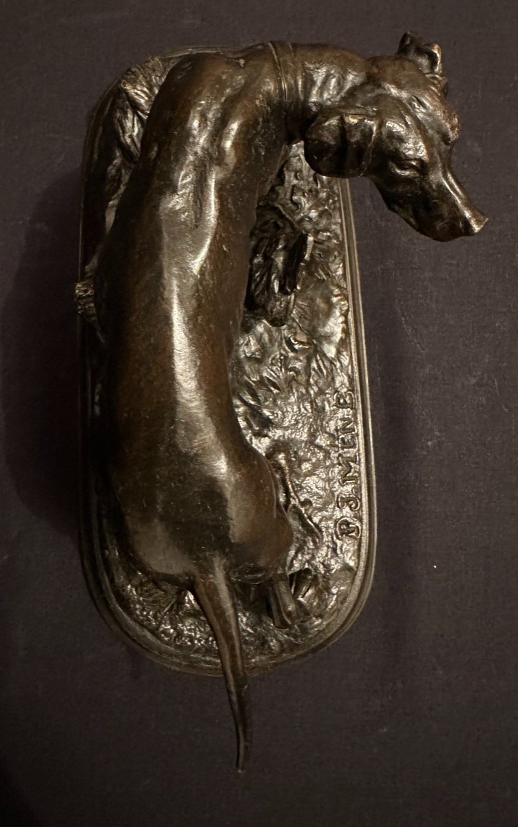 Bronze Pointer Hunting Dog Standing By Pierre-jules Méne Cast Iron Late 19th Century-photo-3