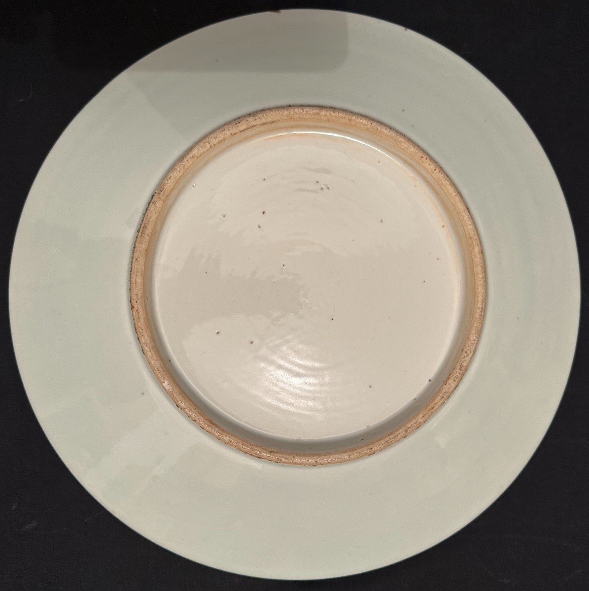 Chine Grand Plat  Porcelaine En Émaux De Canton Fin XIXème-photo-8