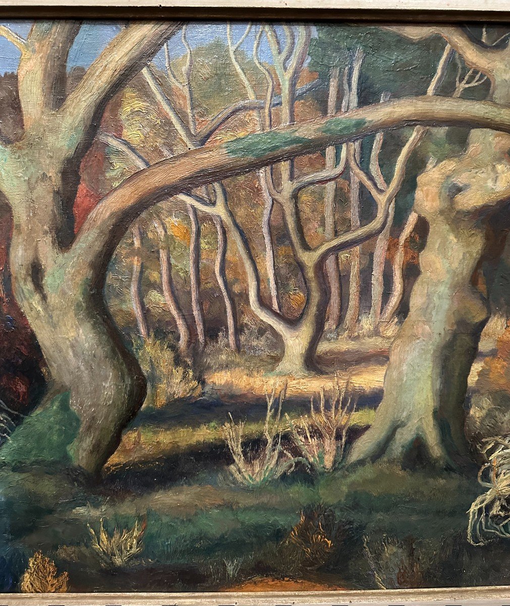 Tableau Automne Dans La Forêt De Chizé Par Gérard Arnaud 1952-photo-4