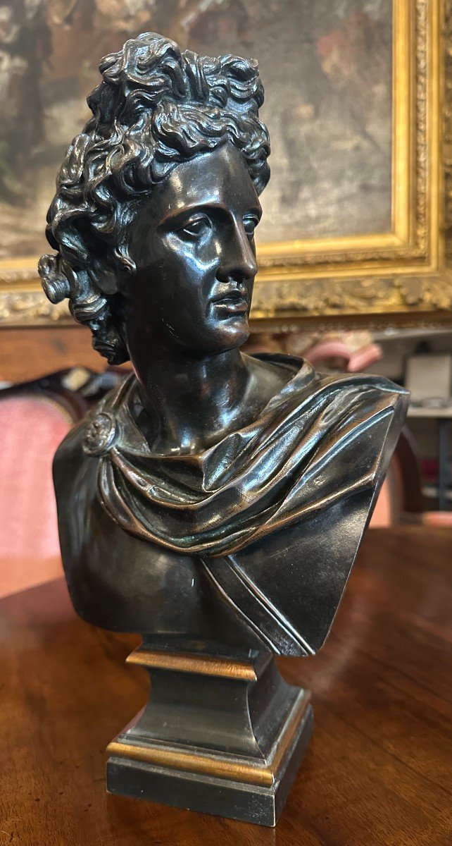 Buste Bronze l'Apollon Du Belvédère Société Des Bronzes De Paris Fondeur Fin XIXème 