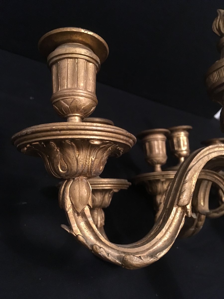 Pair Of Louis XVI Gilt Bronze Sconces XIXè-photo-1