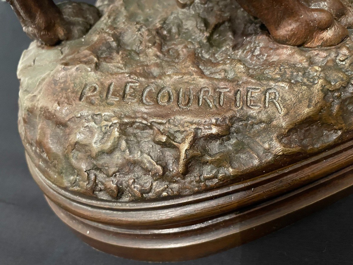 Important Bronze Chien De Meute Saint-Hubert Bloodhound Par Lecourtier Fin XIXème-photo-7