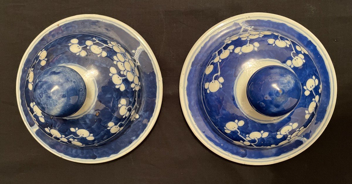 Chine pour Indochine Paire De Vases Couverts à Décor De Prunus Fin XIXème-photo-3