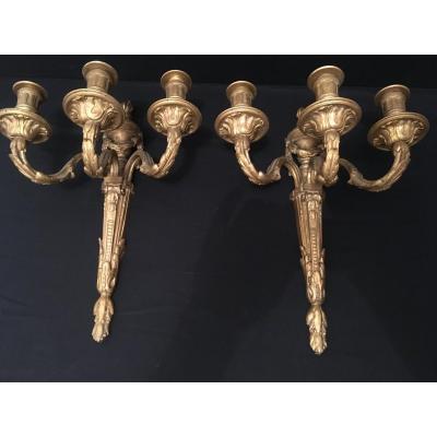 Pair Of Louis XVI Gilt Bronze Sconces XIXè