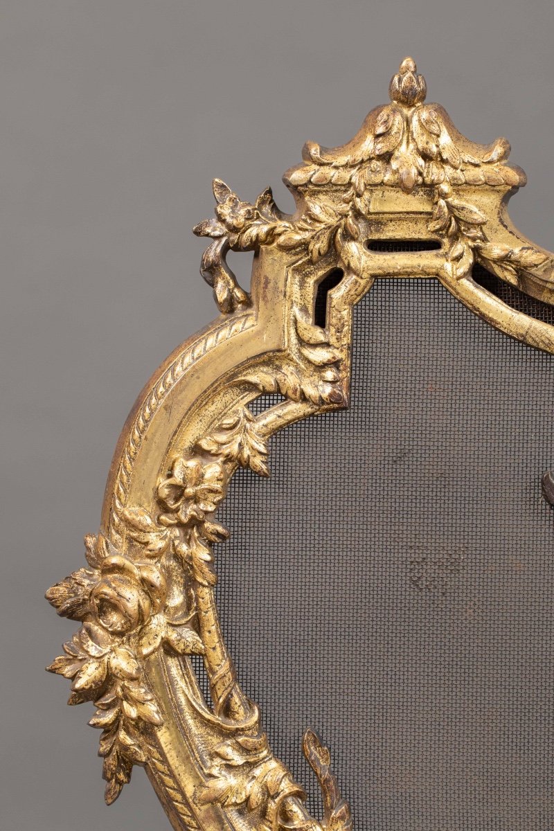 Bronze Fire Screen -photo-1