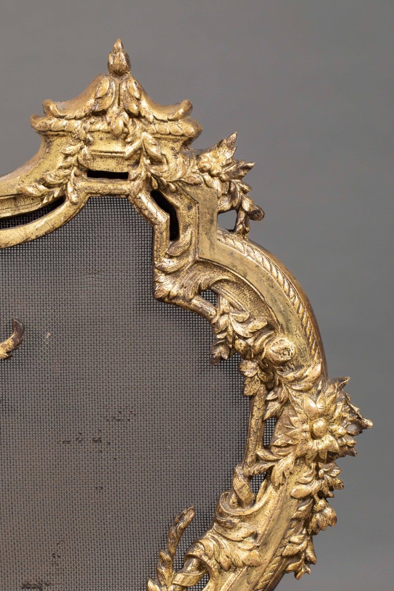 Bronze Fire Screen -photo-4