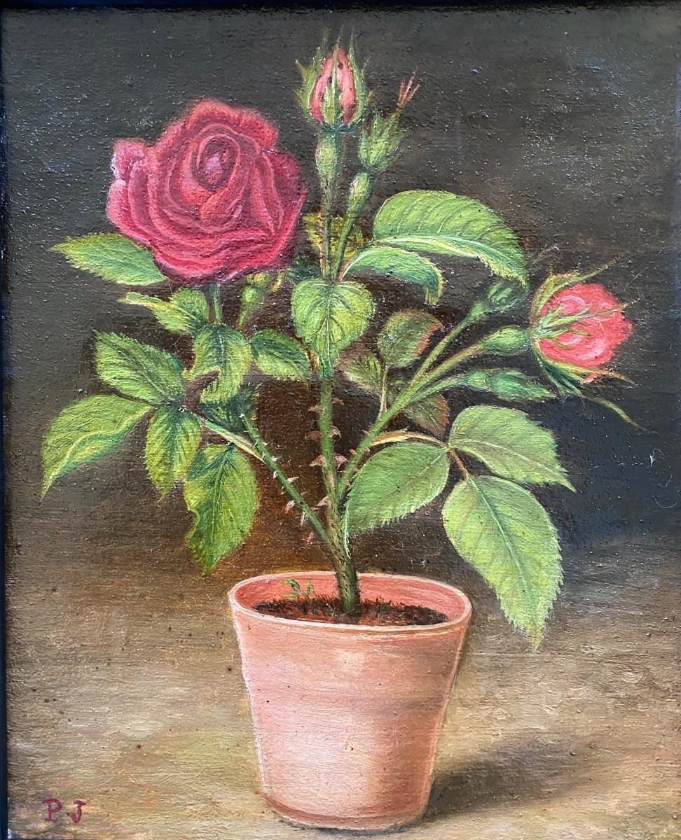 «Le Pot Aux Roses ». Huile Sur Toile  Encadrée XIXème. Signée P. J..-photo-2