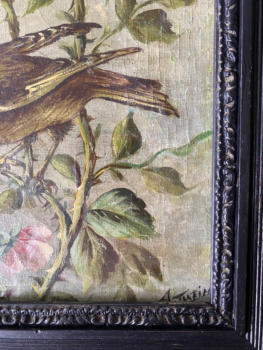 “ Couple D’oiseaux”. Huile Sur Toile Marouflée Sur carton. XIXème. A. Turin.-photo-2