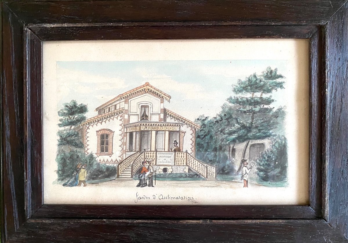 “the Acclimatization Garden”. Framed Watercolor, Late 19th Century. 