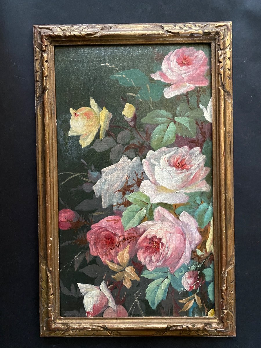 Nature Morte Encadrée. «Roses De Jardin ». Huile Sur Toile Marouflée Sur Carton. Fin XIXème. 