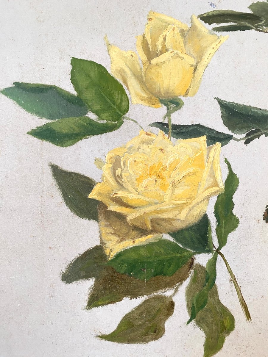  Study Of Yellow Roses. Framed Oil On Panel. French School, Early 20th Century. -photo-2