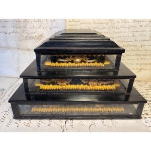 Reliquary Base In Blackened Wood, 19th Century. Paperolles And Relics. 