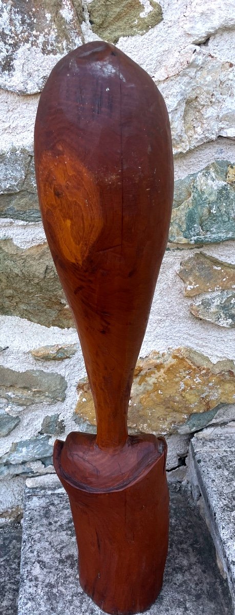 Ironwood Sculpture (aïto)-photo-1