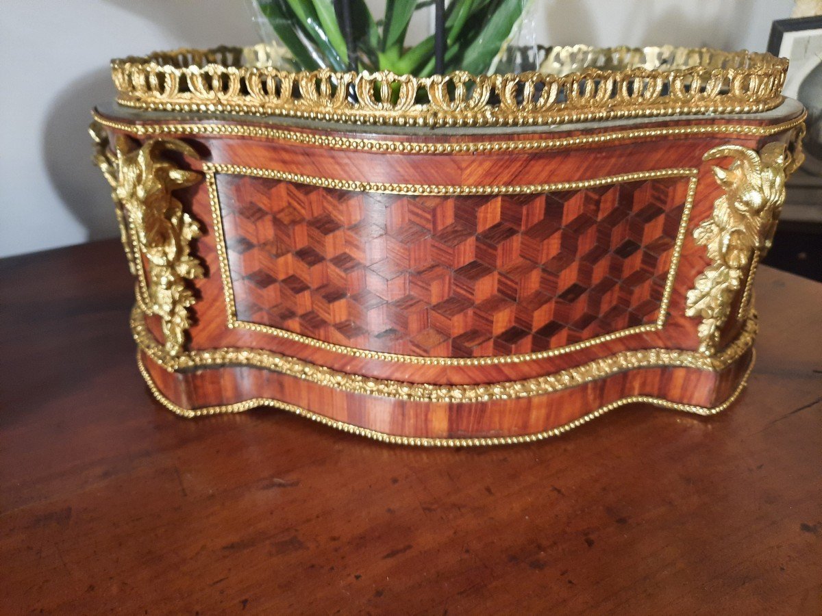 Louis 16 Style Planter In Marquetry From The Napoleon III Period-photo-2