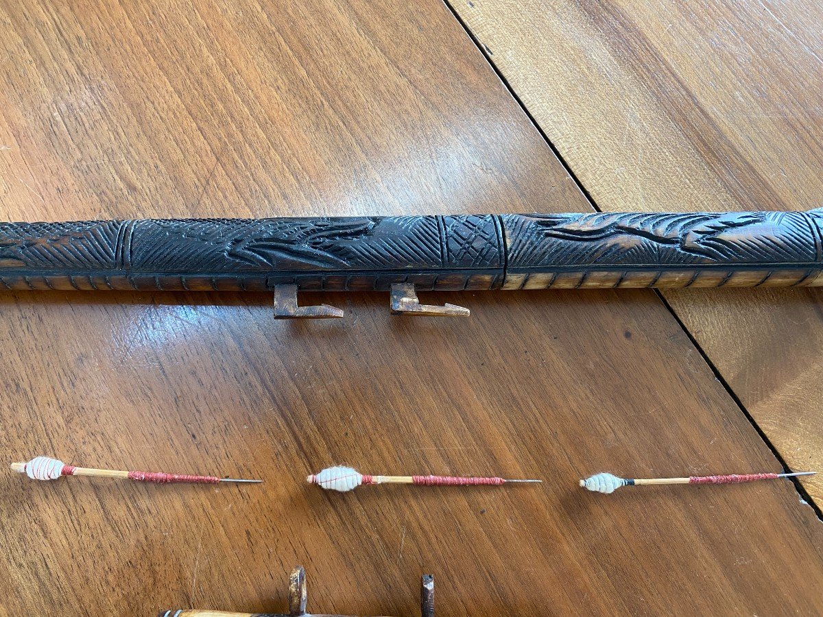 Asian Bone Blowpipe.-photo-4