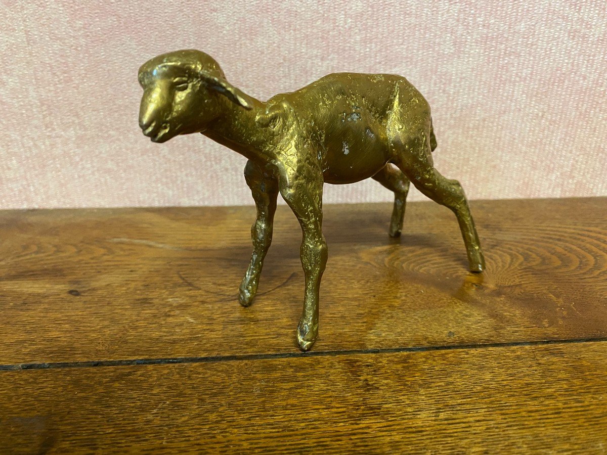 Bronze Sheep Signed Nicolini. Perfect Condition.-photo-2