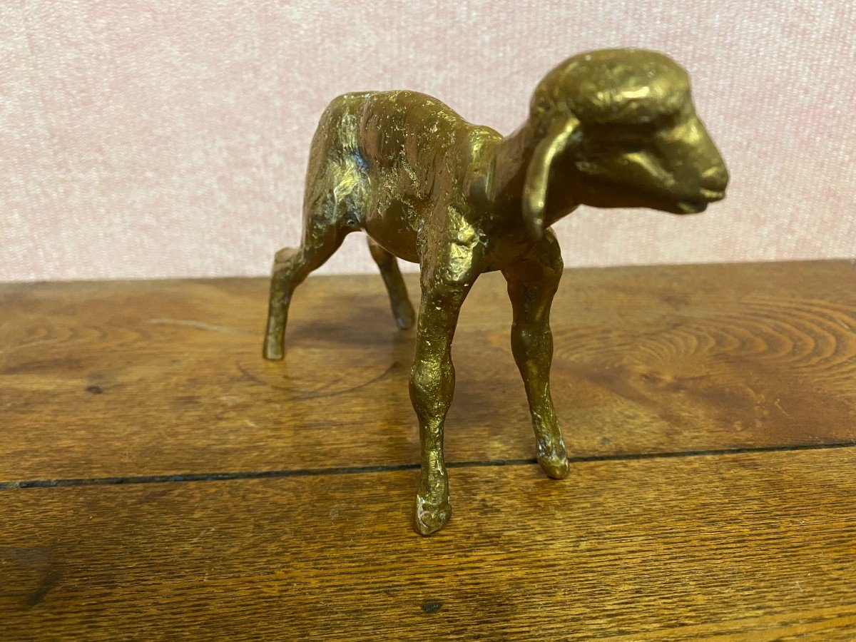 Bronze Sheep Signed Nicolini. Perfect Condition.-photo-3