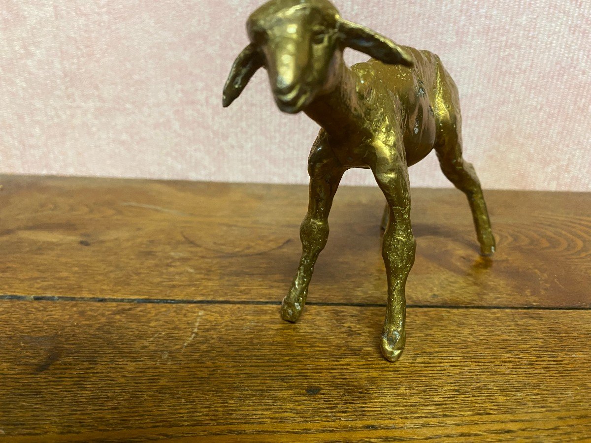 Bronze Sheep Signed Nicolini. Perfect Condition.-photo-3