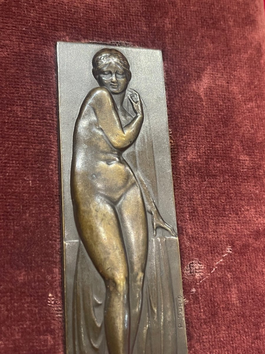 Art Deco Bronze Plaque 1930 By Pierre Turin 1891-1968-photo-2