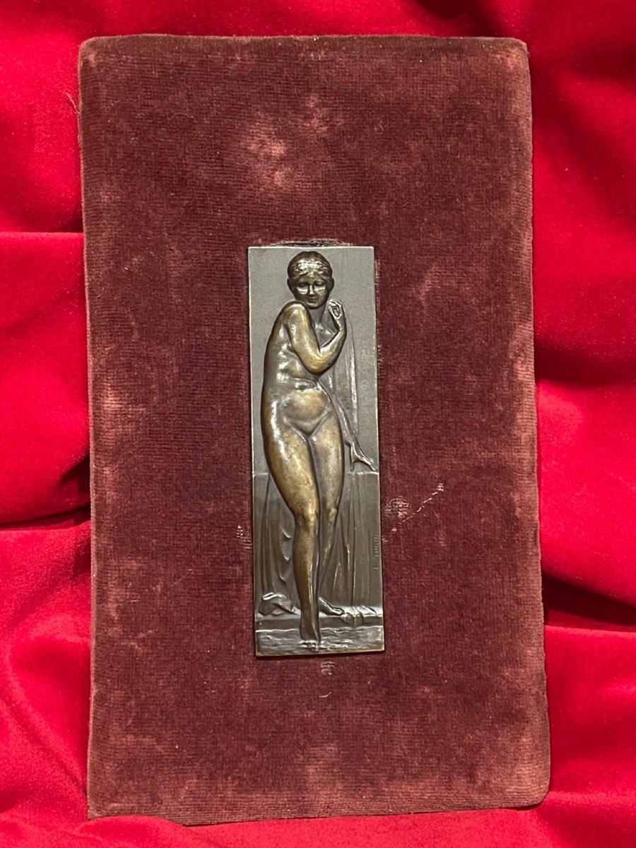 Art Deco Bronze Plaque 1930 By Pierre Turin 1891-1968