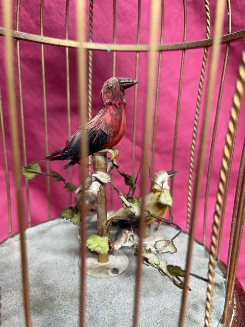 Automate Cage à Oiseaux Musicale En Métal Doré-photo-4