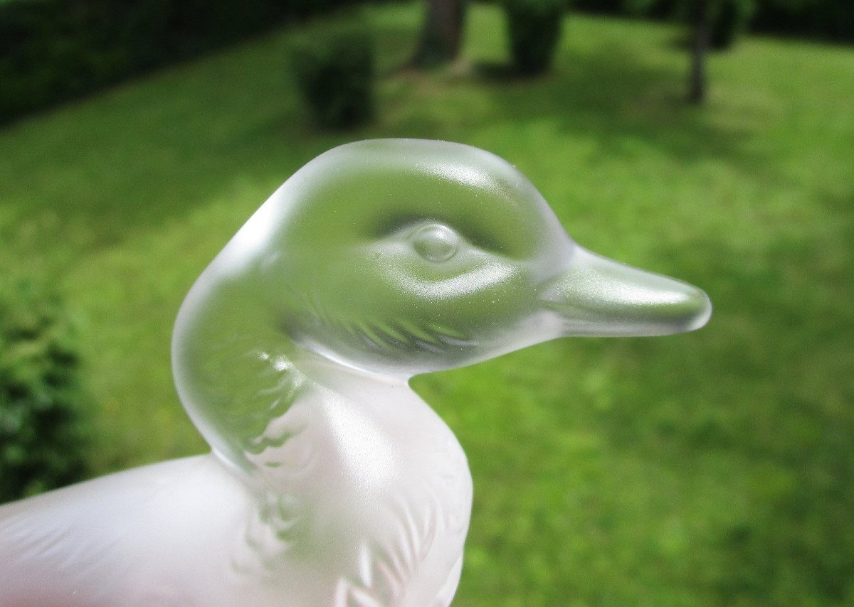 Antique Pretty Little Duck In Baccarat Crystal In Perfect Condition, Almost New