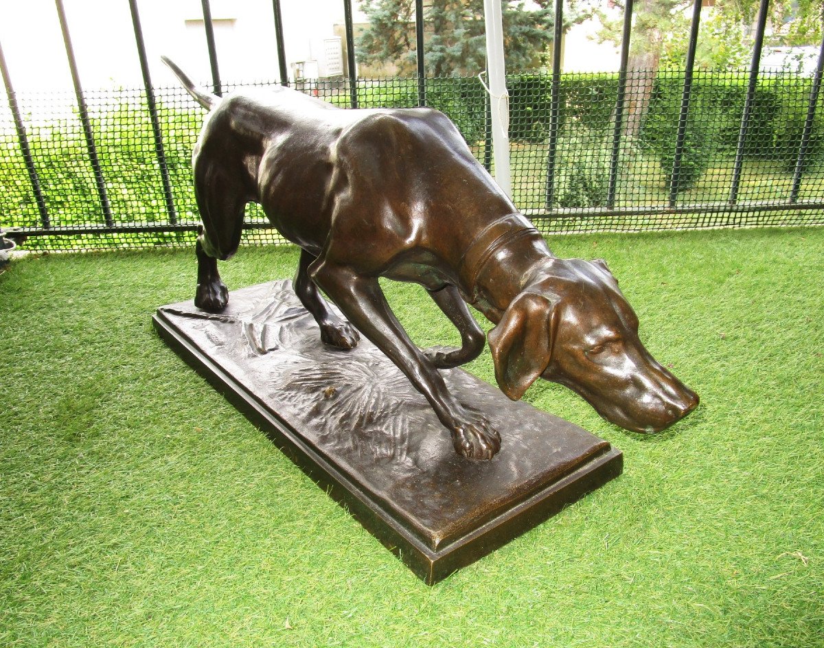 Important Animal Bronze Signed Rosa Bonheur The Pointing Dog Hunting Dog Pointer At Stop-photo-2