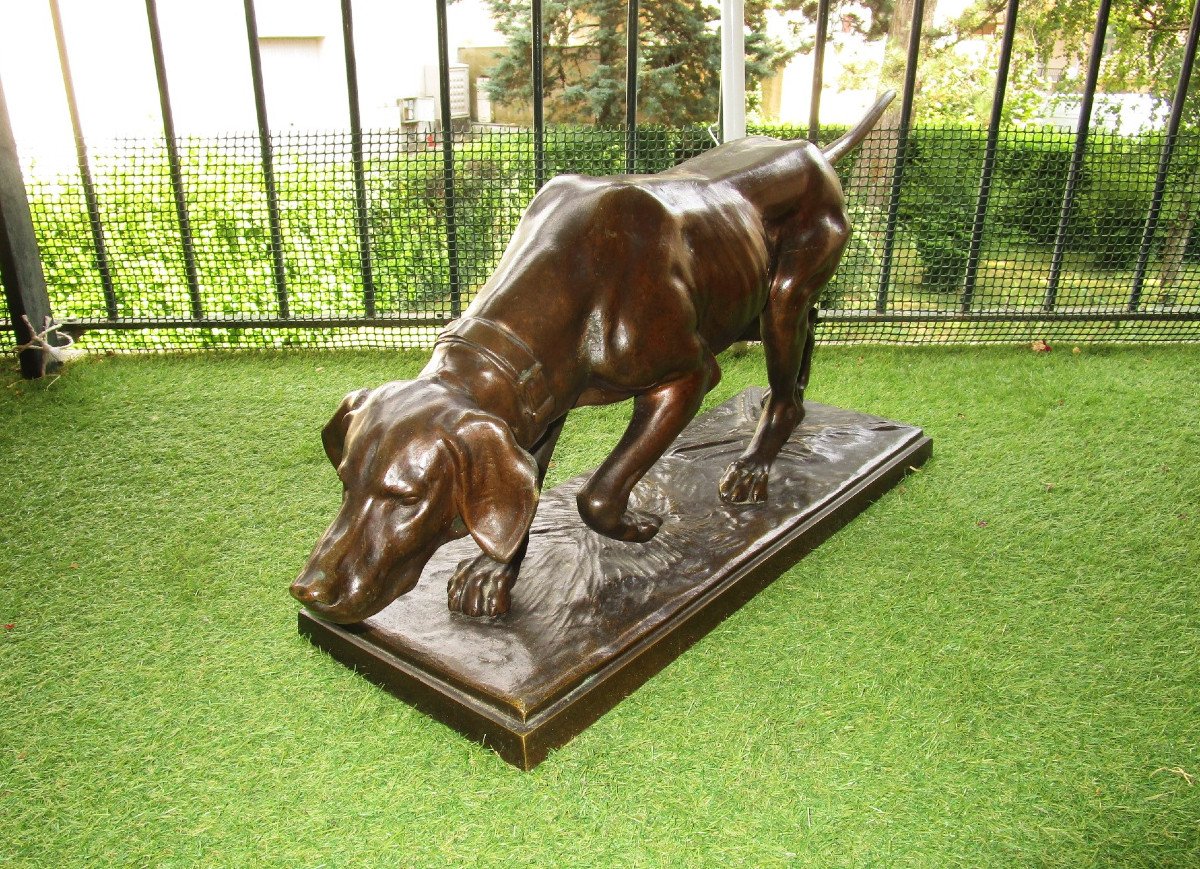 Importante sculpture Bronze Animalier Signé Rosa Bonheur Le Chien De Chasse Braque à l'Arrêt-photo-3