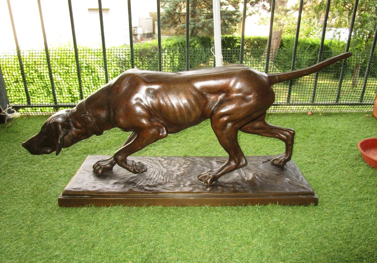 Important Animal Bronze Signed Rosa Bonheur The Pointing Dog Hunting Dog Pointer At Stop-photo-4