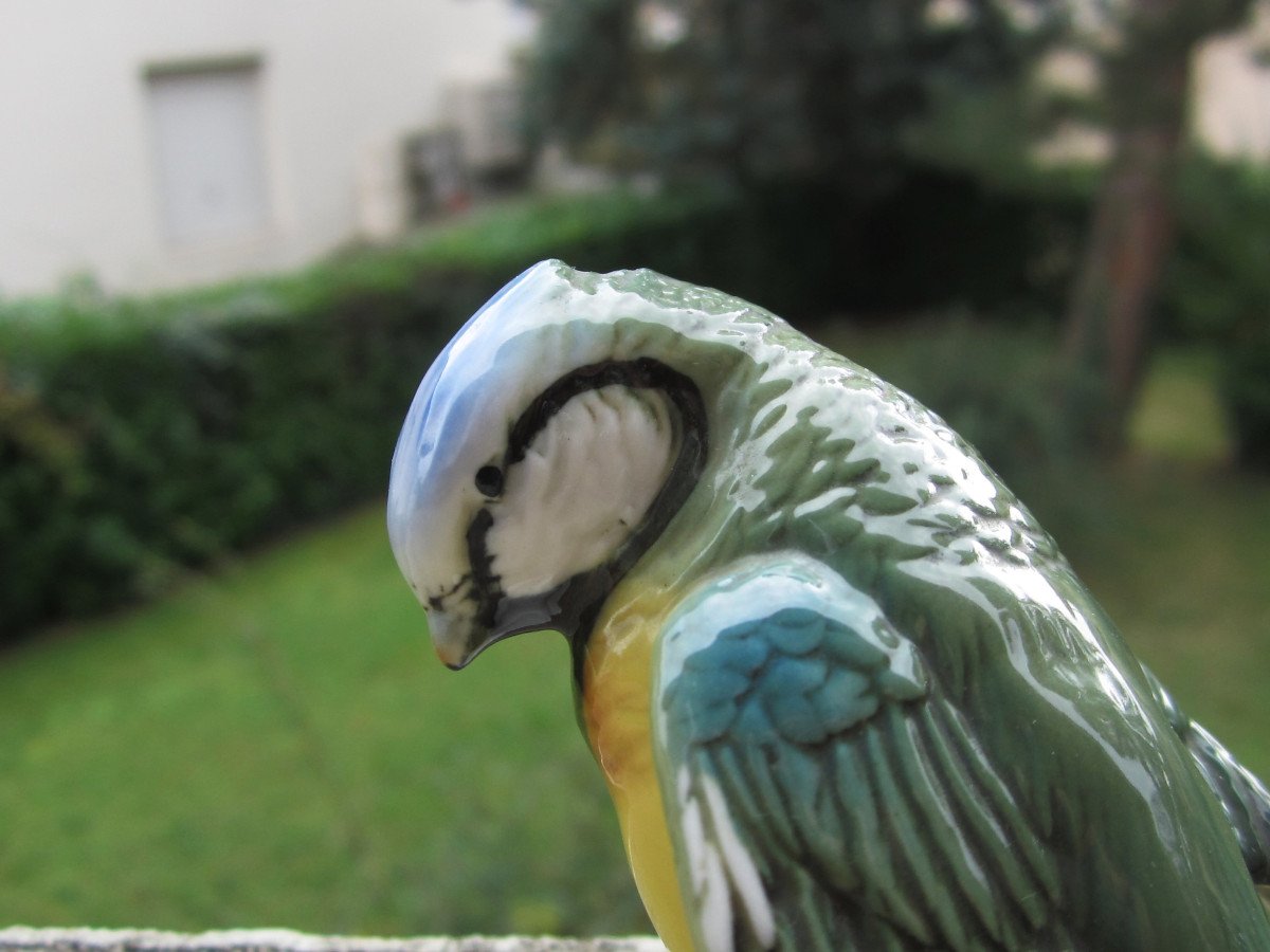 Karl Ens, Mésange Bleue, Très Bel Oiseau En Porcelaine De Saxe, Parfait état.