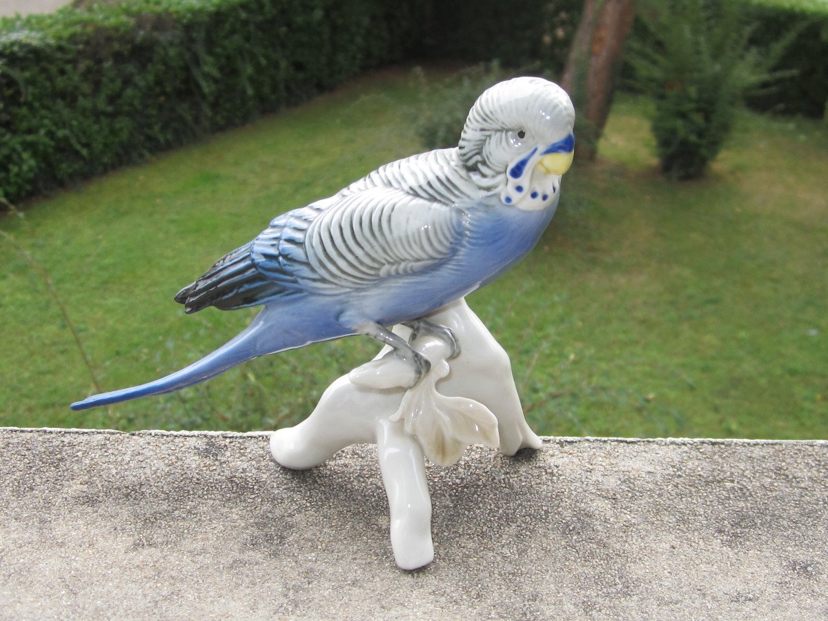 Karl Ens, Parakeet, Parrot, Very Beautiful Bird In Saxon Porcelain, Perfect Condition.-photo-2