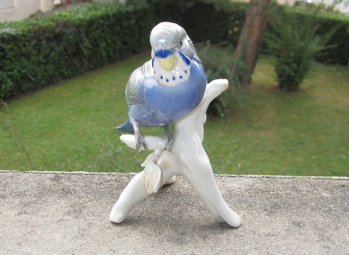 Karl Ens, Parakeet, Parrot, Very Beautiful Bird In Saxon Porcelain, Perfect Condition.-photo-3