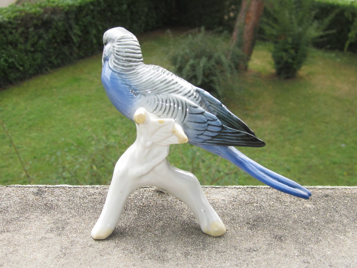 Karl Ens, Parakeet, Parrot, Very Beautiful Bird In Saxon Porcelain, Perfect Condition.-photo-4