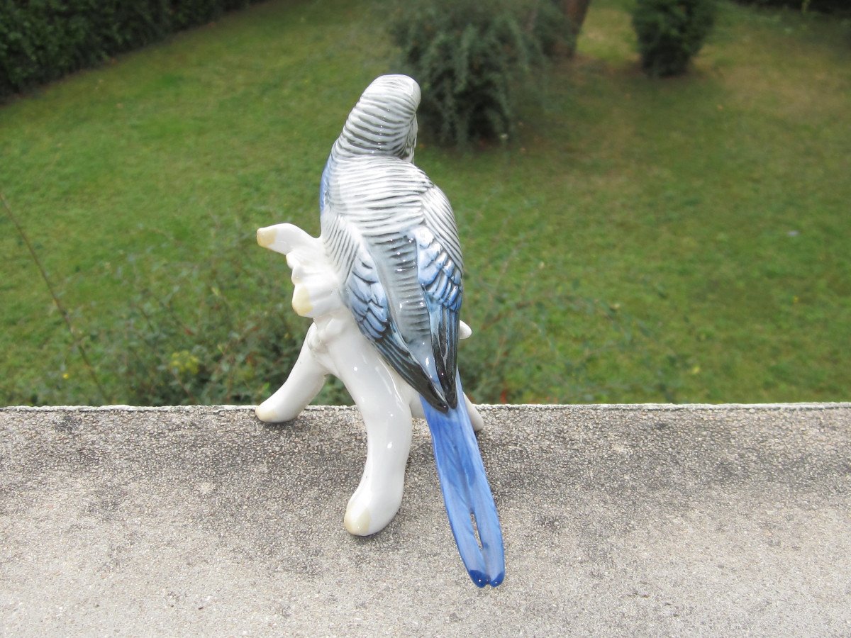 Karl Ens, Parakeet, Parrot, Very Beautiful Bird In Saxon Porcelain, Perfect Condition.-photo-1