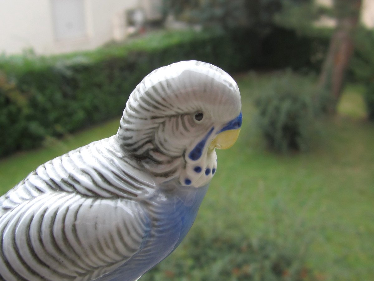 Karl Ens, Parakeet, Parrot, Very Beautiful Bird In Saxon Porcelain, Perfect Condition.-photo-2