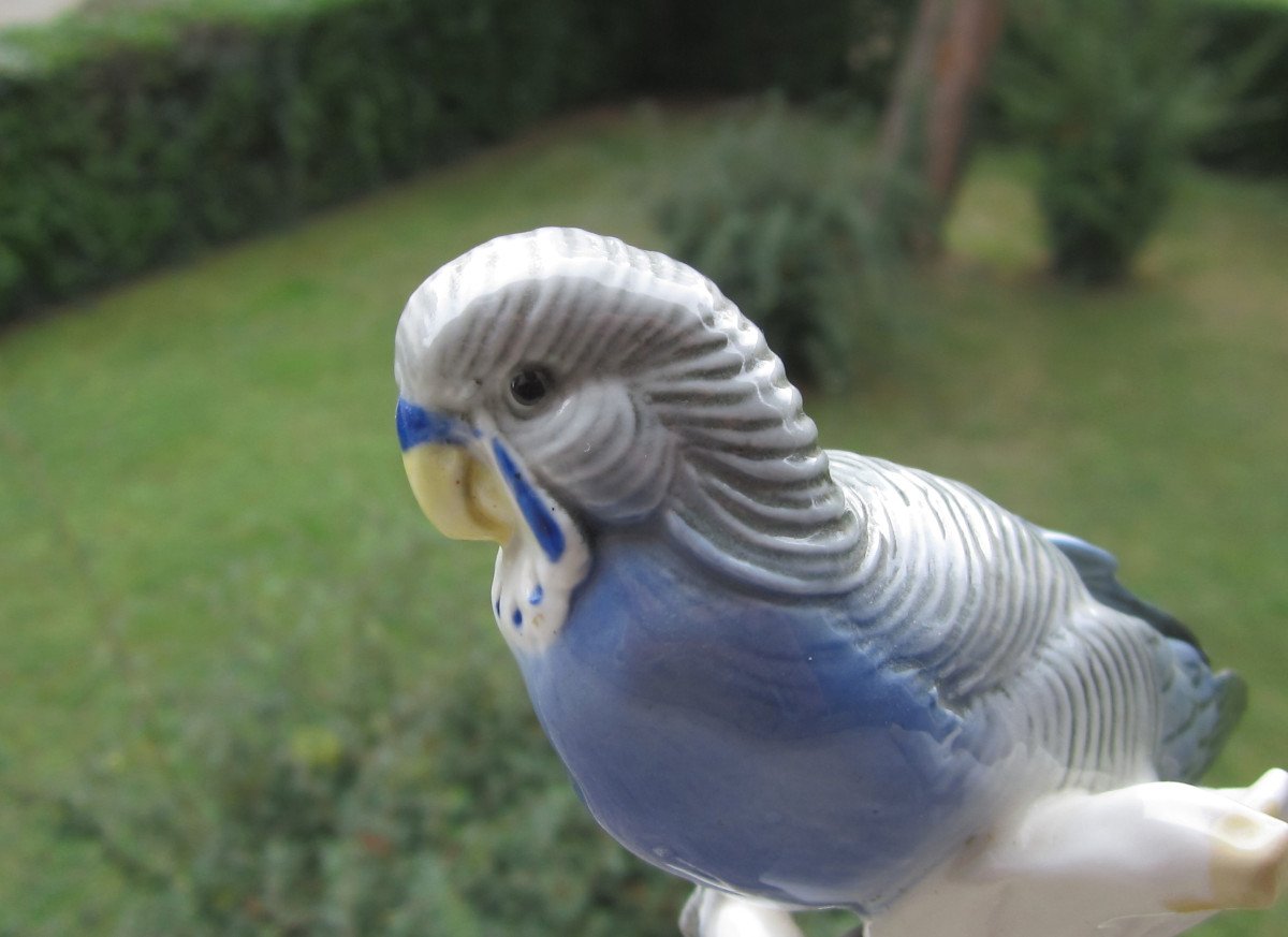 Karl Ens, Parakeet, Parrot, Very Beautiful Bird In Saxon Porcelain, Perfect Condition.