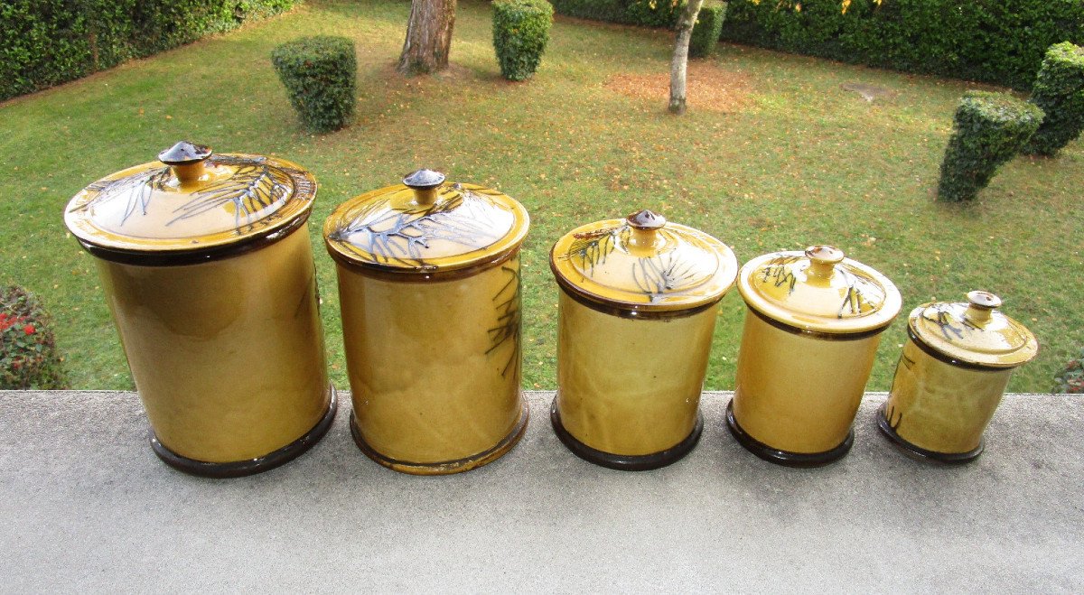 Very Beautiful Series Of Earthenware And Barbotine Spice Jars Decorated With Branches And Pine Cones.-photo-3