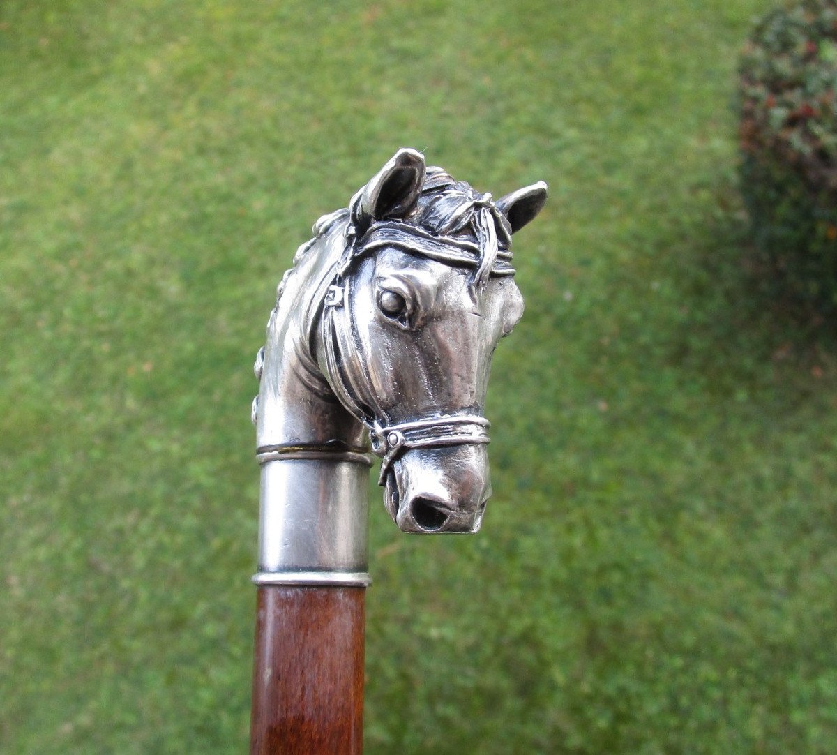 Très Belle Canne de marche en Argent Poinçon 925 Pommeau En Forme De Tête De Cheval.  90,5 cm.-photo-4