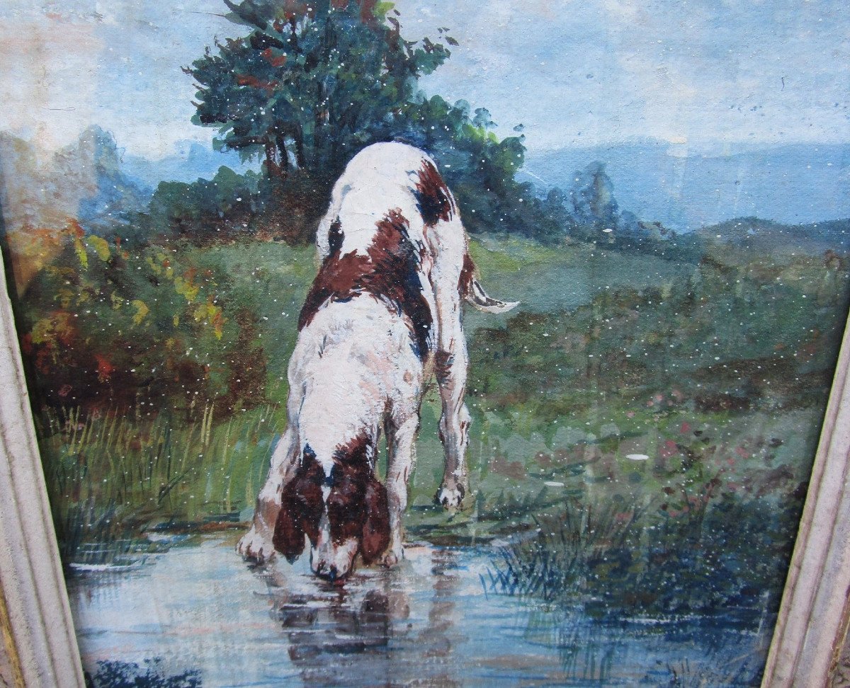 Old Very Beautiful Painting Signed Mistral Framed Under Glass Hunting Dog Springer Hunter.-photo-3