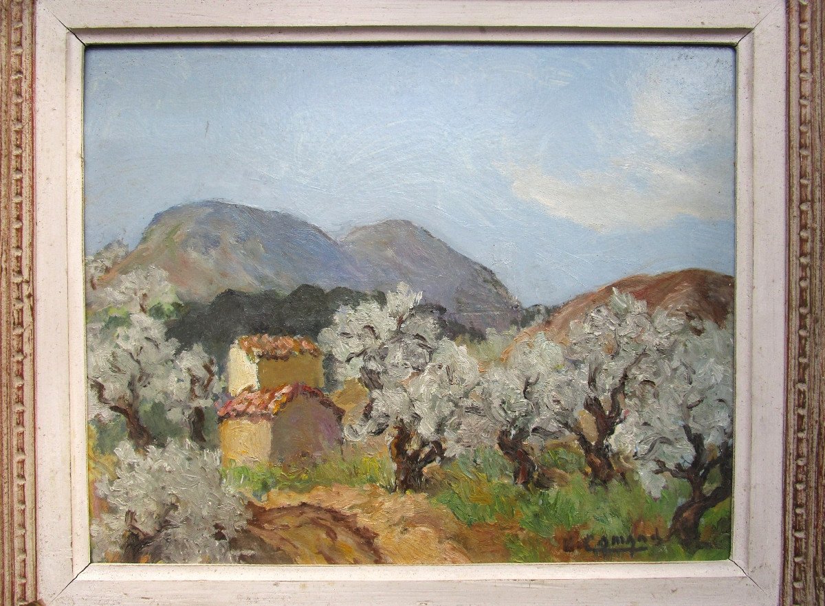 Old Very Beautiful Provencal Landscape Painting Signed, Oil On Cardboard Circa 1940 Montparnasse Frame-photo-2