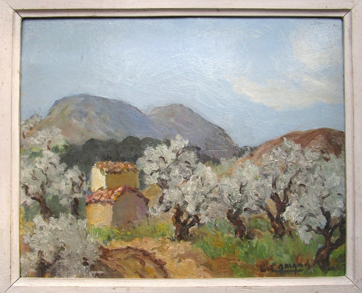 Old Very Beautiful Provencal Landscape Painting Signed, Oil On Cardboard Circa 1940 Montparnasse Frame-photo-3