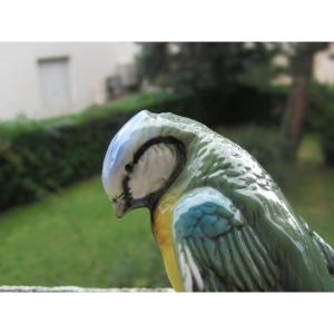 Karl Ens, Blue Tit, Very Beautiful Saxon Porcelain Bird, Perfect Condition.