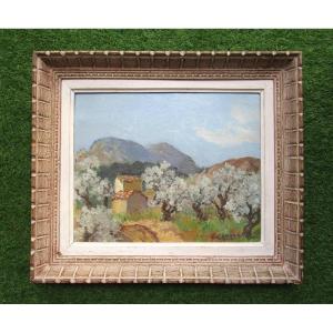 Old Very Beautiful Provencal Landscape Painting Signed, Oil On Cardboard Circa 1940 Montparnasse Frame