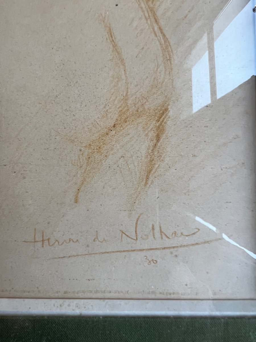 Dessin  Encadré Femme Nue De Dos H De Nolhac-photo-2