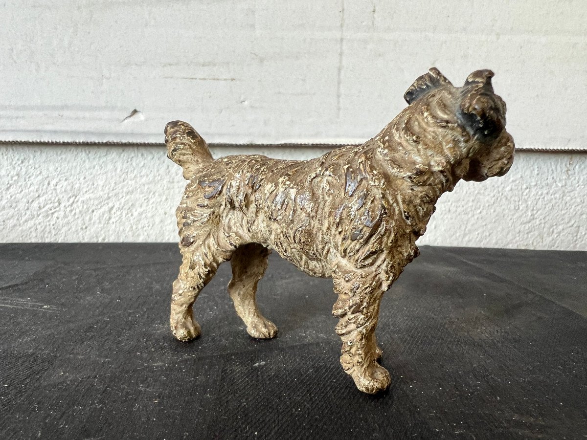 Le Fox Terrier , Bronze De Vienne-photo-2