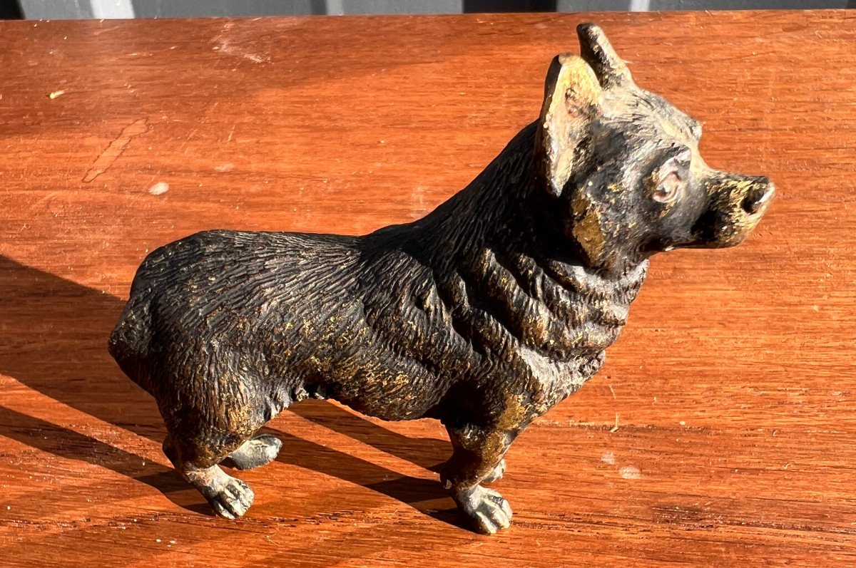 Bronze Dog -photo-3