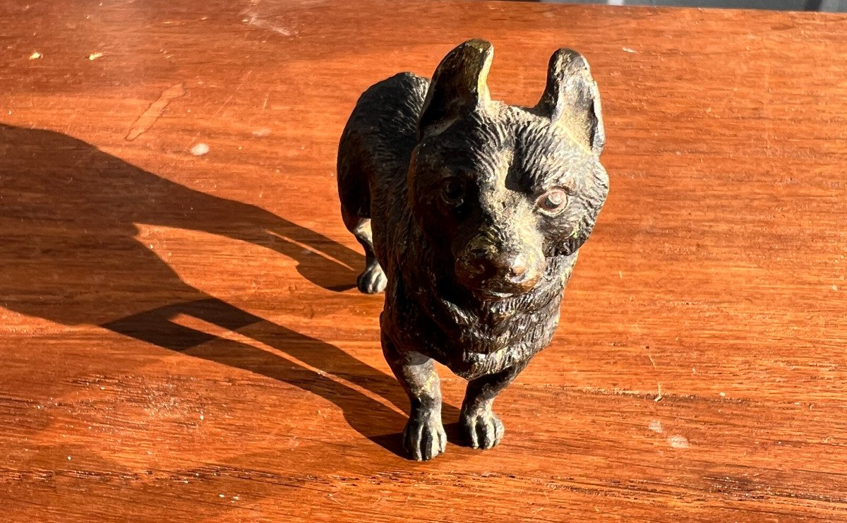 Bronze Dog -photo-1