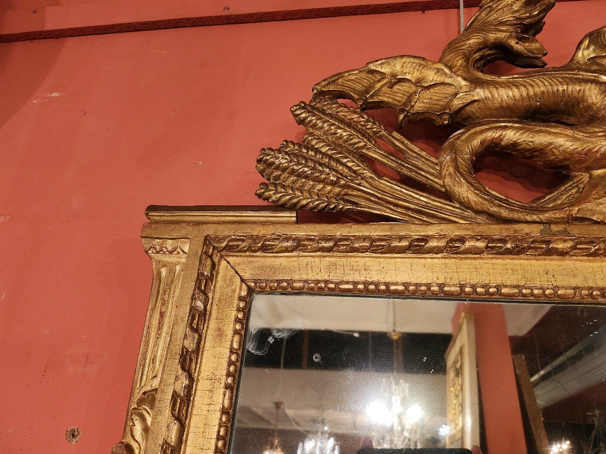 19th Century Dragon Fronton Mirror-photo-5